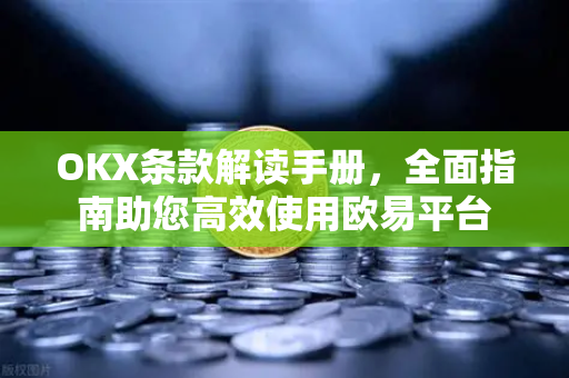 OKX条款解读手册，全面指南助您高效使用欧易平台