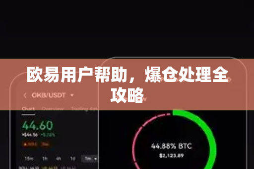 欧易用户帮助，爆仓处理全攻略
