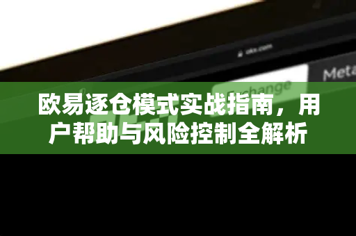 欧易逐仓模式实战指南，用户帮助与风险控制全解析