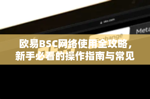 欧易BSC网络使用全攻略，新手必看的操作指南与常见问题解答
