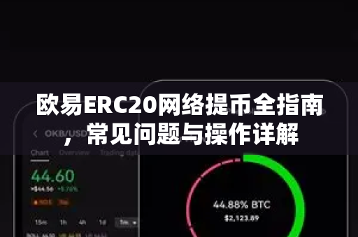 欧易ERC20网络提币全指南，常见问题与操作详解