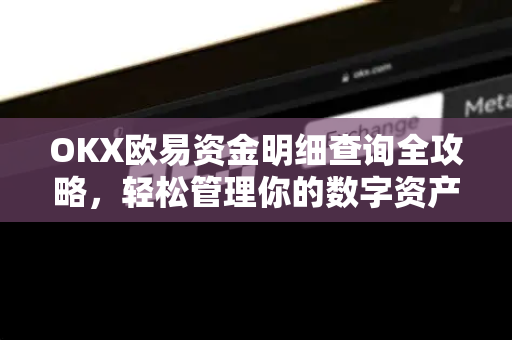 OKX欧易资金明细查询全攻略，轻松管理你的数字资产
